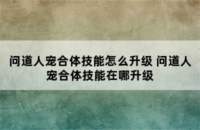 问道人宠合体技能怎么升级 问道人宠合体技能在哪升级